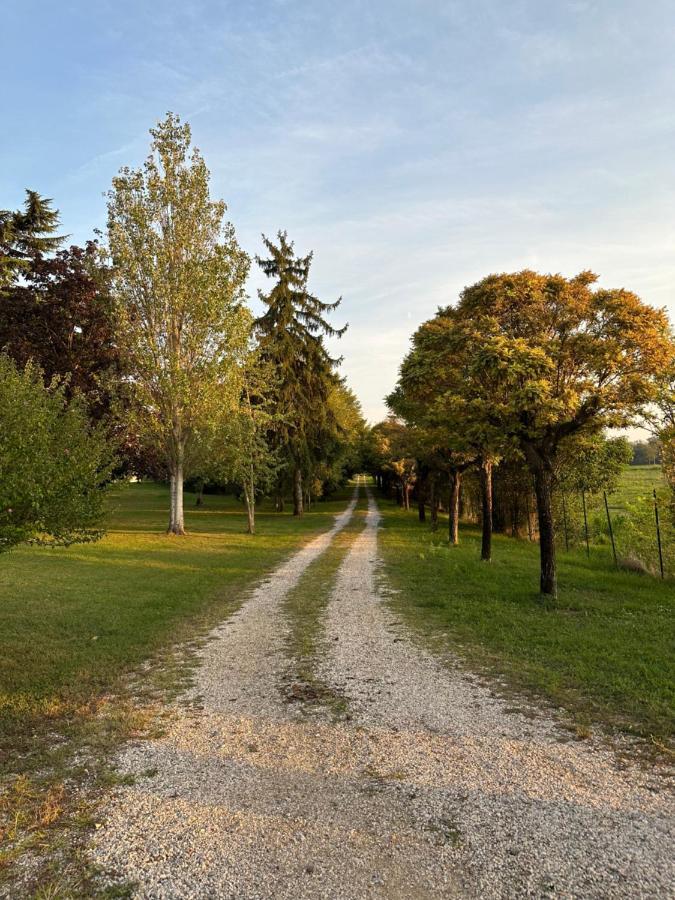 Bed and Breakfast Corte San Lorenzo Дезенцано-дель-Гарда Екстер'єр фото